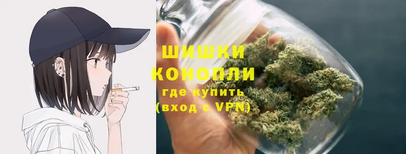 Канабис SATIVA & INDICA  продажа наркотиков  Болотное 